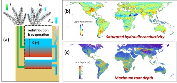 Evapotranspiration (ET) at global scale